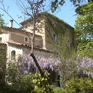 Bed and Breakfast Le Mas Des Sources Saint Sebastien d'Aigrefeuille Exterior photo