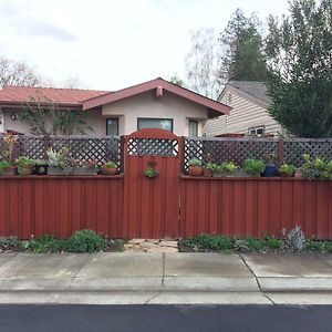 Best Of Davis - For You And Your Pet! Exterior photo