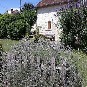 Willa Le Misteflore Coussay-les-Bois Exterior photo