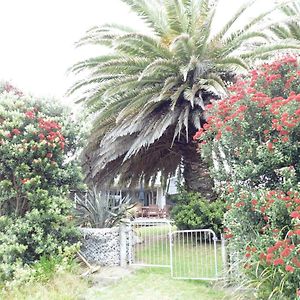 Willa Twin Palms Waikanae Exterior photo