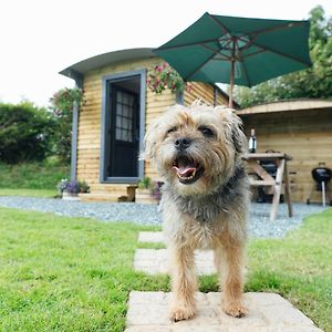 Hotel Buttles Shepherd'S Hut Saundersfoot Exterior photo