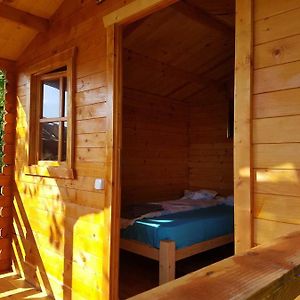 Willa Retezat Retreat - Wood Cabin Clopotiva Exterior photo