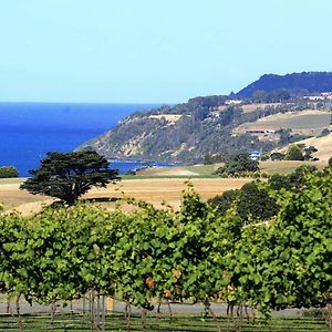 Willa Mallavale Farm, Boat Harbour Exterior photo