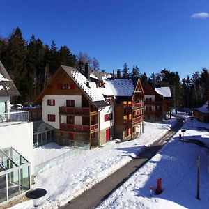 Antela Appartments For Up To 5 Person On Mariborsko Pohorje Hočko Pohorje Exterior photo