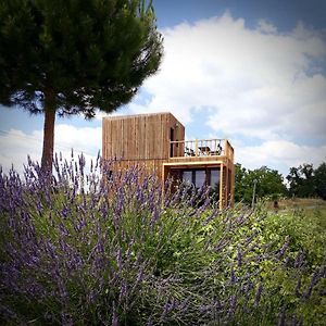 Willa Manege De La Chapiniere - Dadaloge Tiny-House Châteauvieux Exterior photo