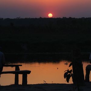 Hotel Jungle Sunset Camp Sauraha Exterior photo