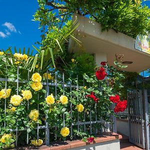 Bed & Breakfast Profumo D'Estate Agliana Exterior photo