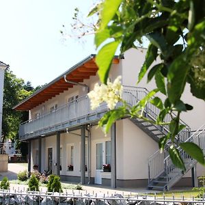 Hotel Pension Am Ziegelwall Budziszyn Exterior photo