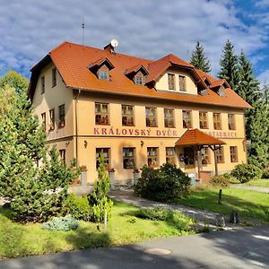 Hotel Kralovsky Dvur Bily Potok Hamry  Exterior photo