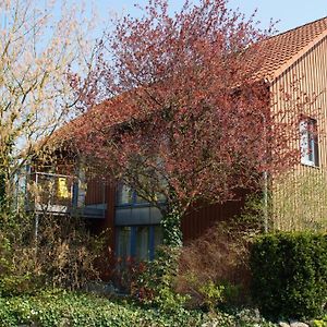 Hotel Gaestehaus/Fewos/Boardinghaus Lueneburg Sued Exterior photo