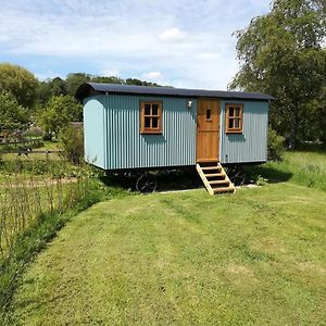 Pensjonat Gaggle Of Geese Pub - Shepherd Huts & Bell Tents Dorchester Exterior photo