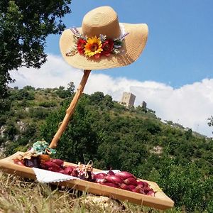 Bed and Breakfast Sotto La Torre Arpino Exterior photo