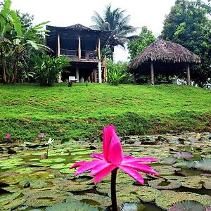 Pensjonat Bluff Hidden Paradise Bocas del Toro Exterior photo