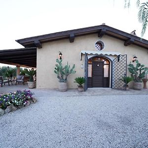 Bed and Breakfast Casa Degli Ulivi Cerveteri Exterior photo