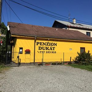 Hotel Penzion Dukat Vřesina Exterior photo