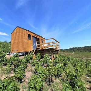 Hotel Tiny House Au Coeur Du Vignoble Beaujolais Fleurie Exterior photo