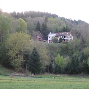 Chambres D'Hotes Le Chene Ban-sur-Meurthe-Clefcy Exterior photo