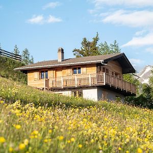 Apartament Labbrunnu In Den Walliser Alpen Rosswald Exterior photo