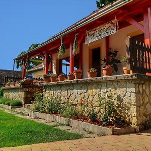 Hotel Harmonia Vendeghaz Németbánya Exterior photo