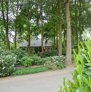 Holiday Home Bosrijk Ruighenrode-3 By Interhome Lochem Exterior photo